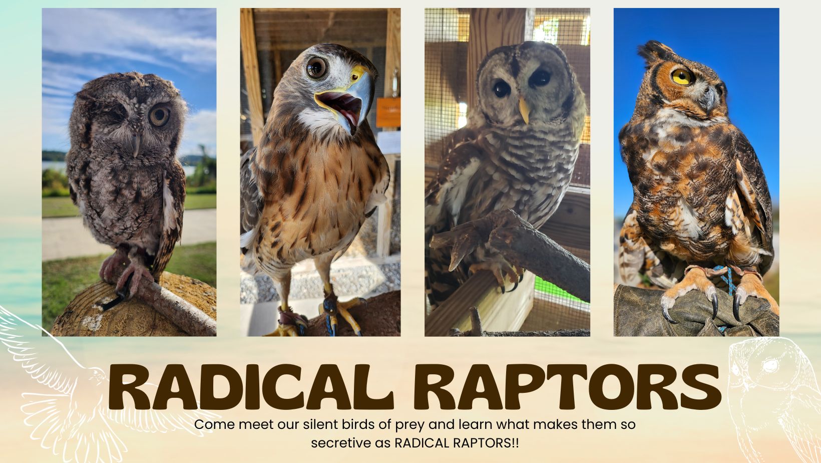 radical raptors