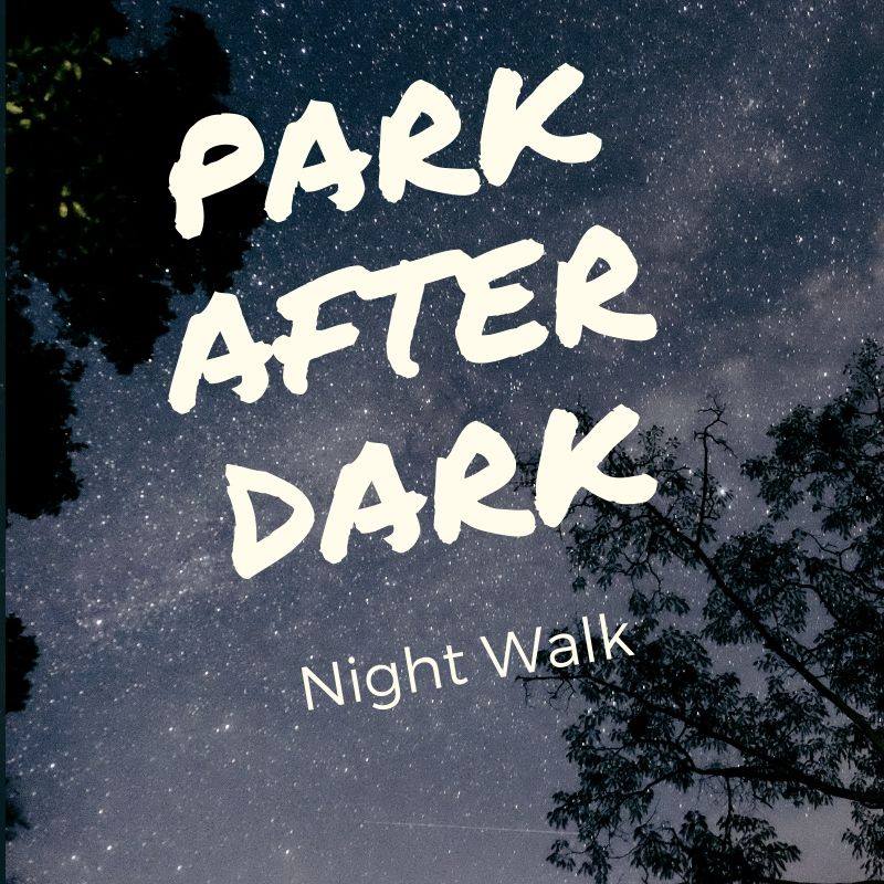 DSP park after dark