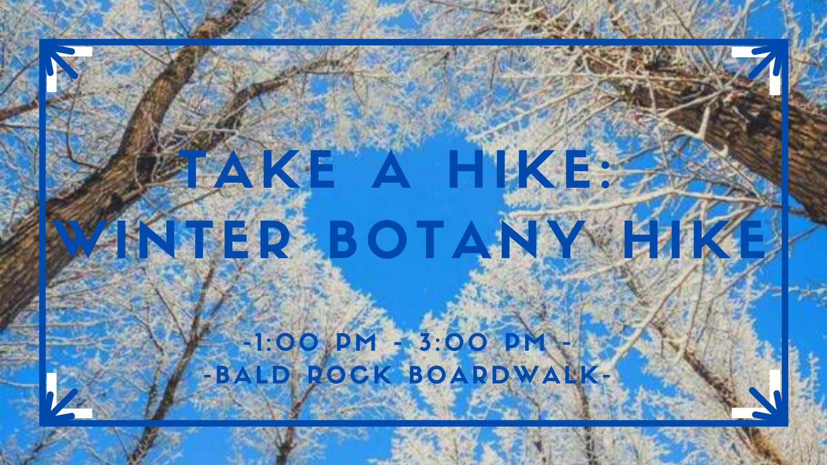 Take A Hike: Winter Botany Hike BRB