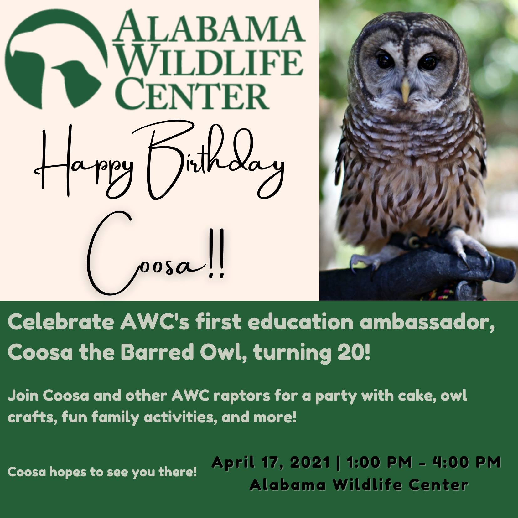 Alabama Wildlife Center - Coosa the Owl Birthday Party 