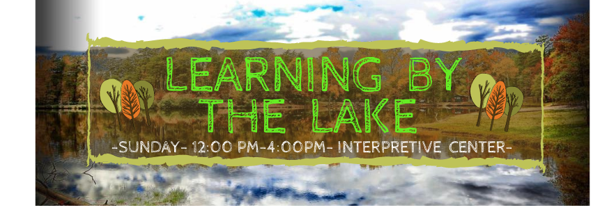CSP Learning by the Lake 2021