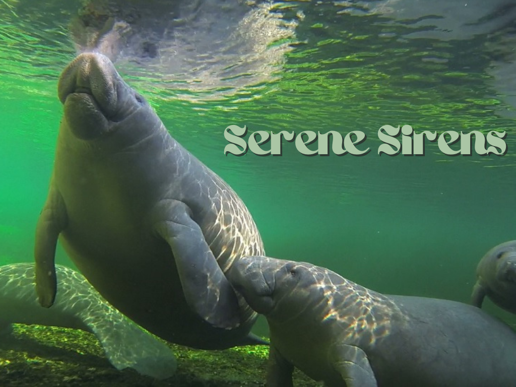 Serene Sirens Program at Gulf State Park