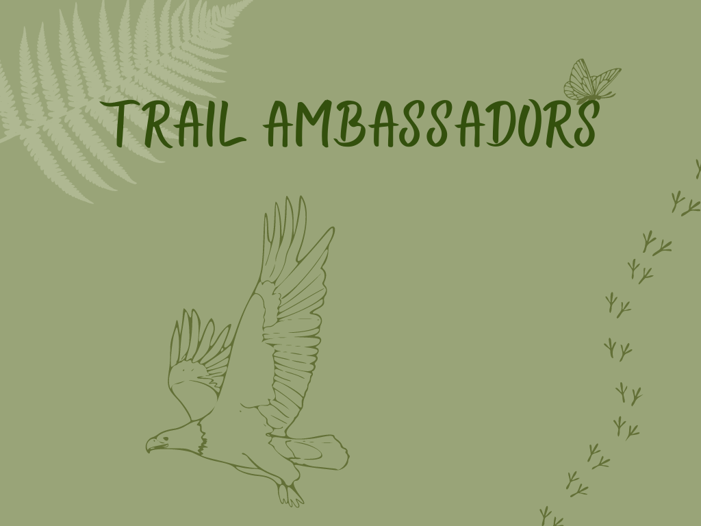 Trail Ambassadors Program at Gulf State Park