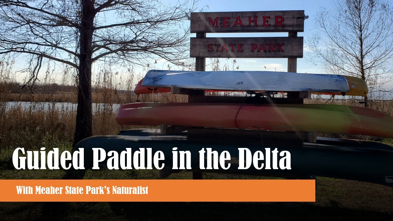 Guided Paddle in the Delta