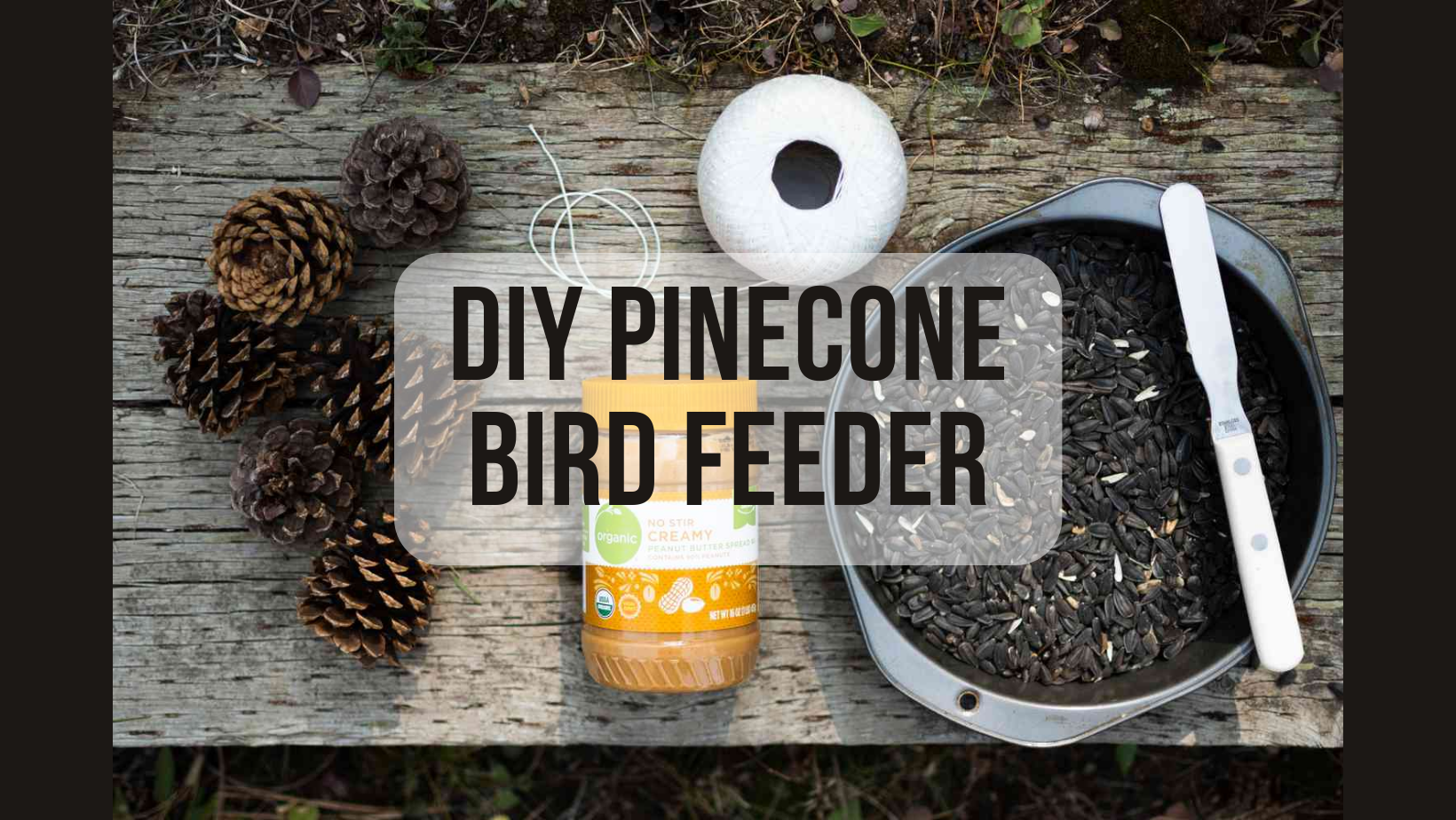 DIY Pinecone Bird Feeder