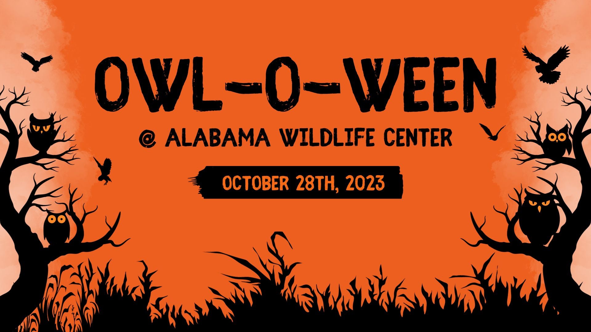 Oak Mountain State Park Owl O Ween at the Alabama Wildlife Center