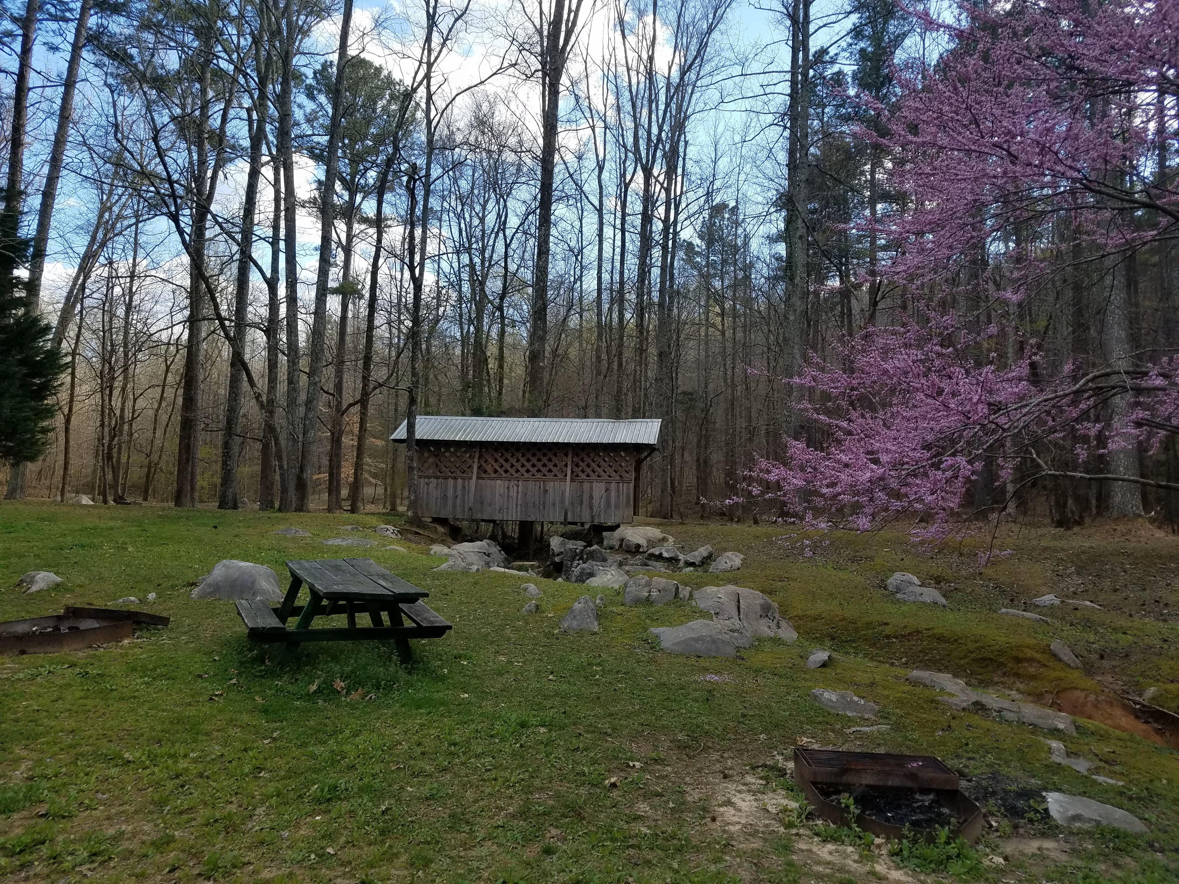 Covered bridge at Rickwood Caverns State Park in the spring.