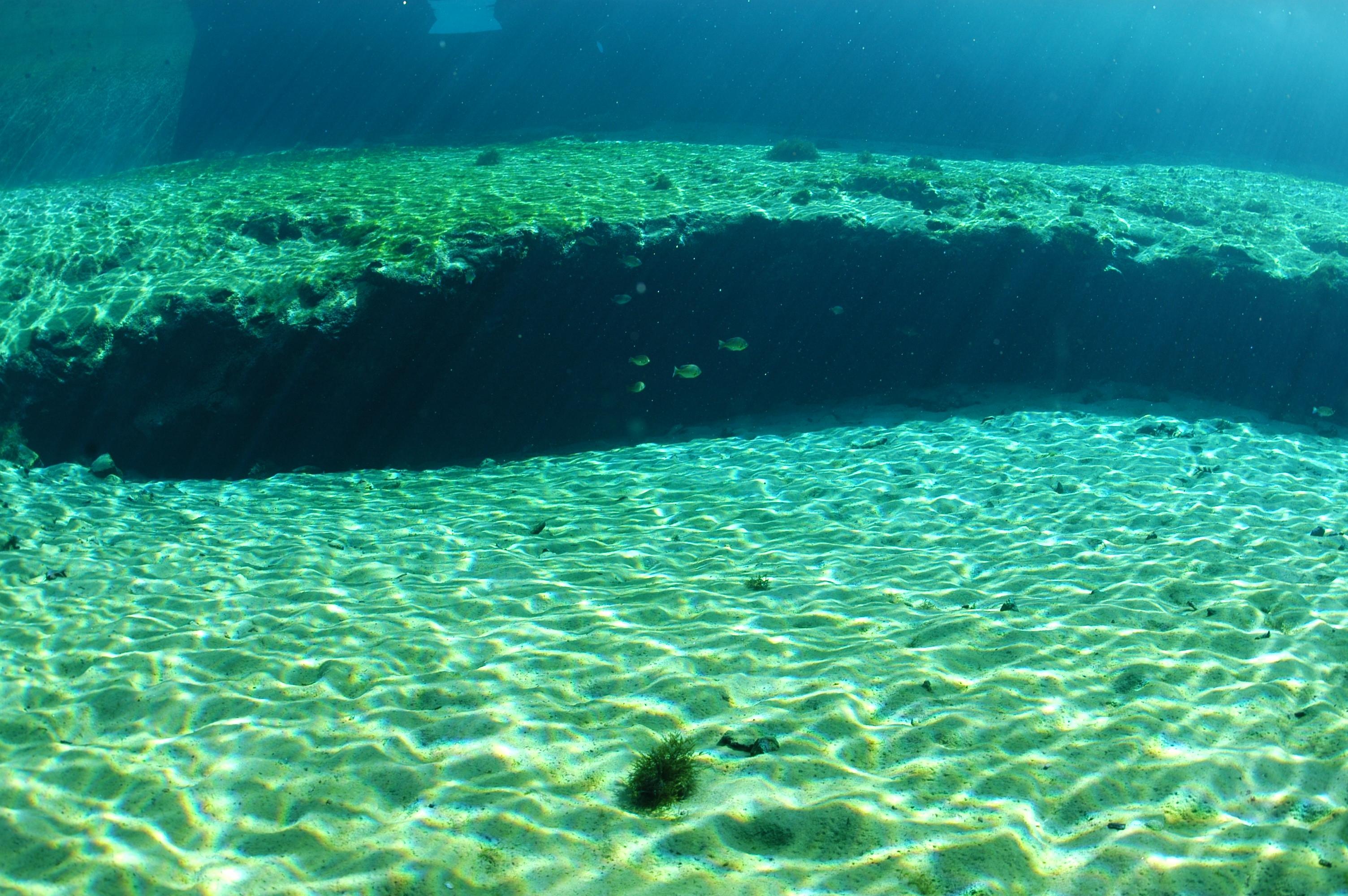 Blue Springs Clear Water Blue Springs clear water