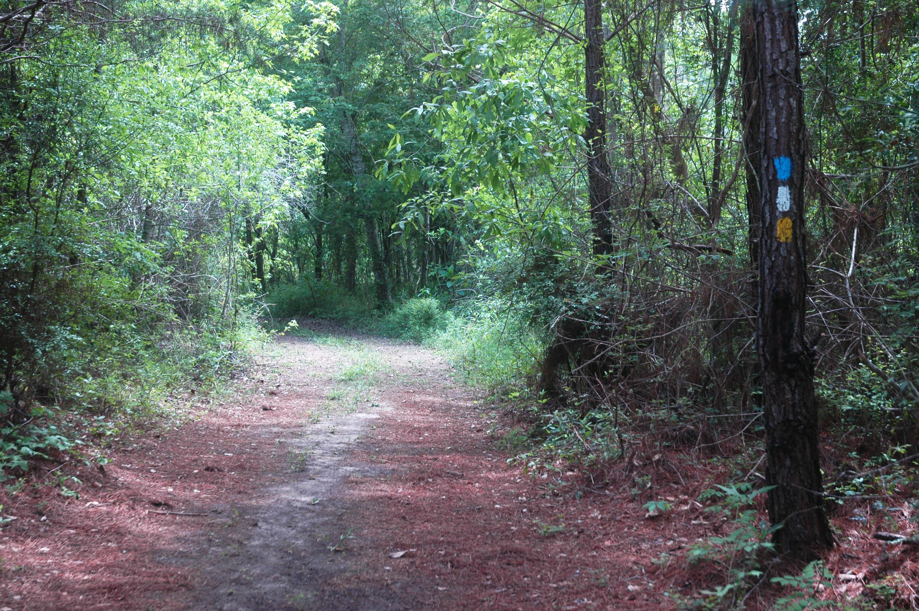 Blue Springs Marked Trail Blue Springs Marked Trail