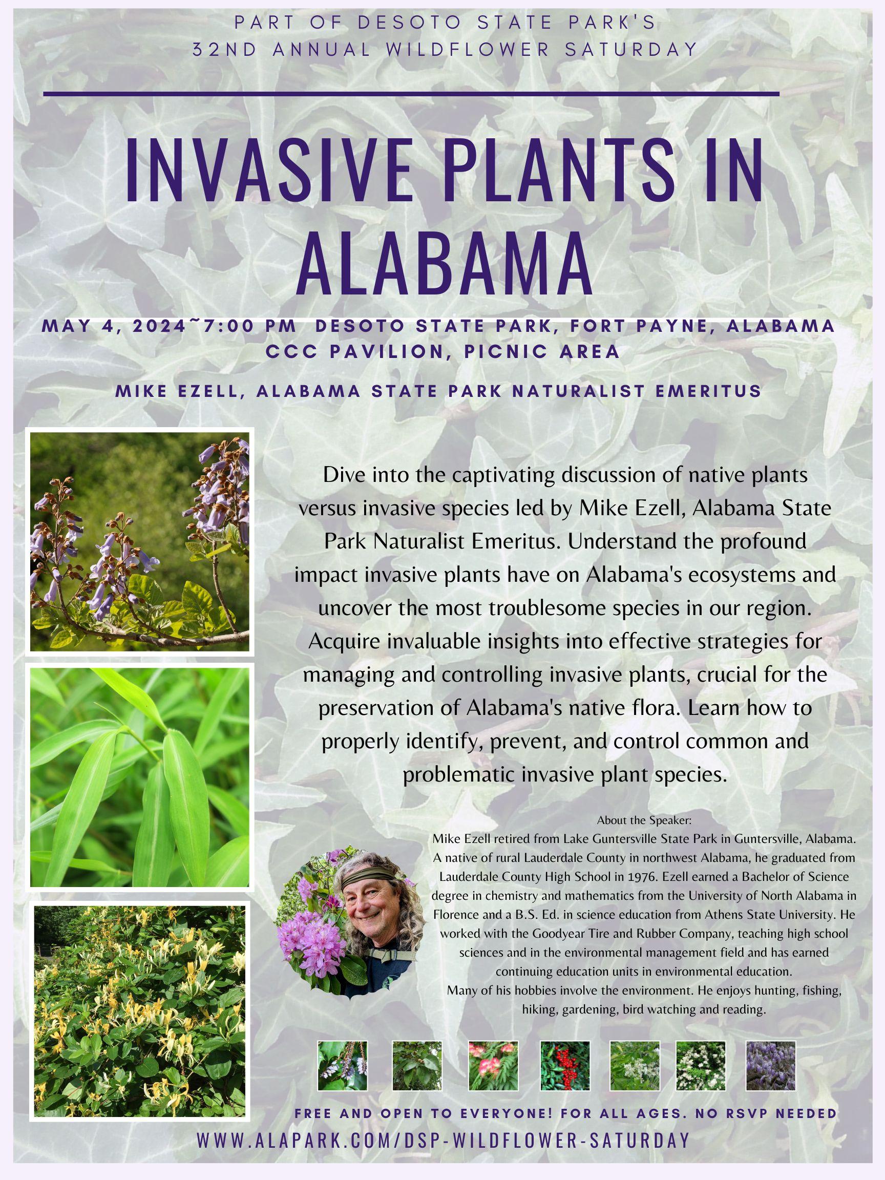 DSP Wildflower Sat-Invasives 24 jpg