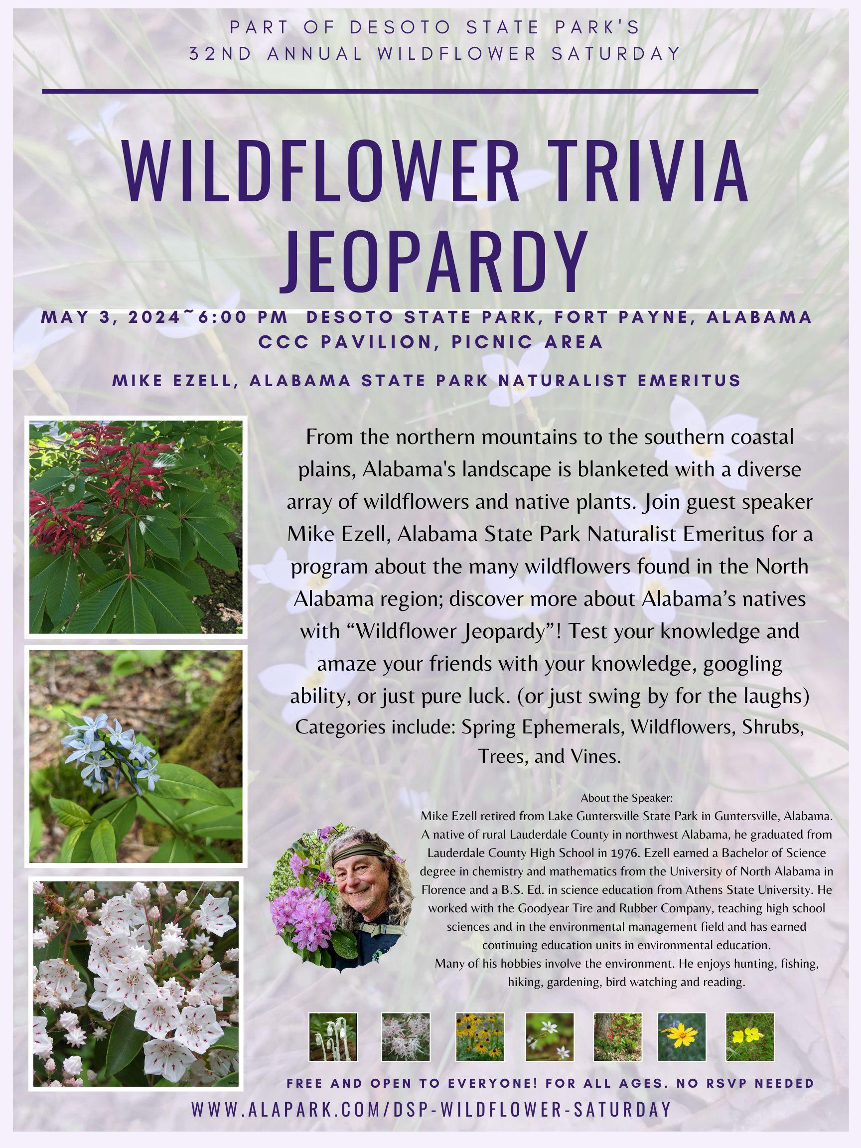 DSP Wildflower Sat-Jeopardy 24 jpg