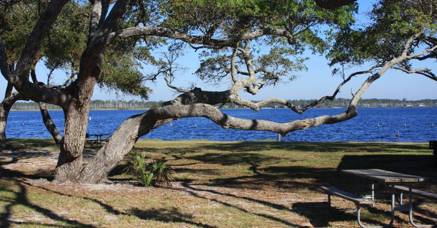 Lake Shelby Picnic Table Area