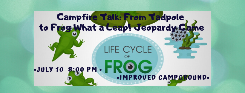 CSP Campfire Talk: From Tadpole to Frog What a Leap!