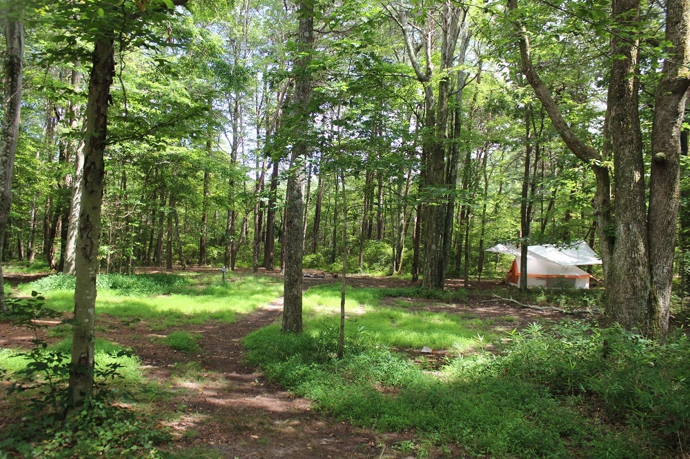 Primitive tent camping near me best sale