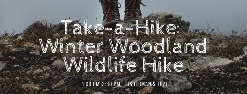 Take a Hike: Winter Woodland Wildlife Hike Fisherman's Trail