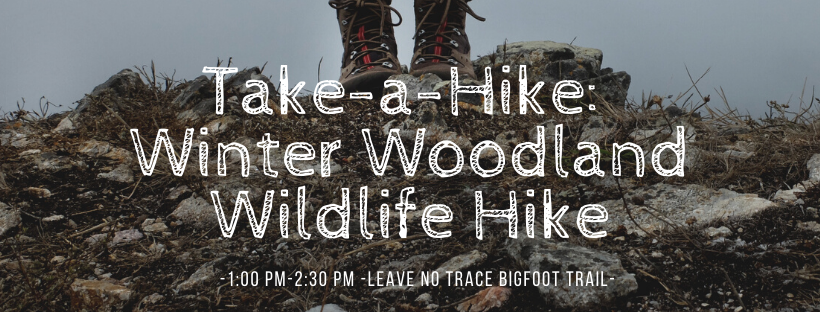 Take a Hike: Winter Woodland Wildlife Hike LNT Trail