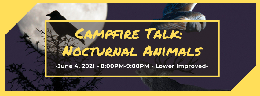 CSP Nocturnal Animals Campfire Talk June 2021