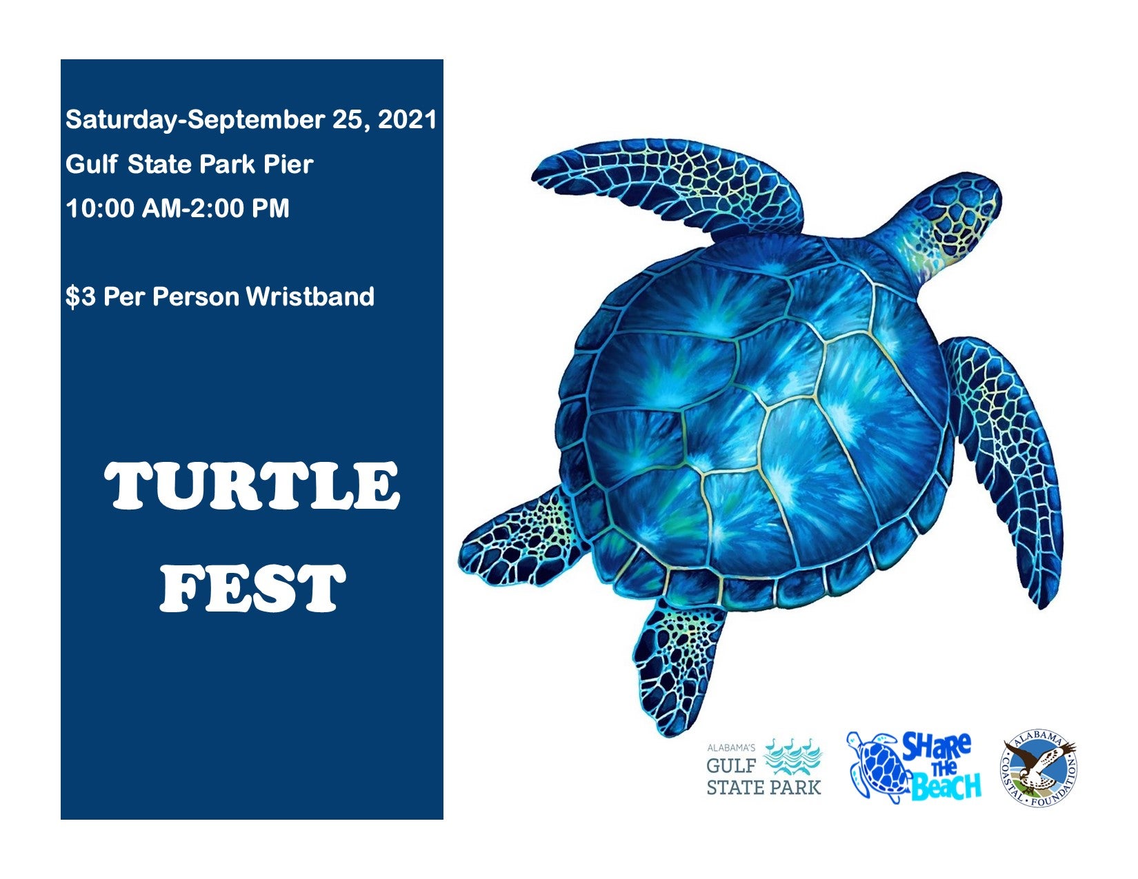 Turtle Fest | Alapark