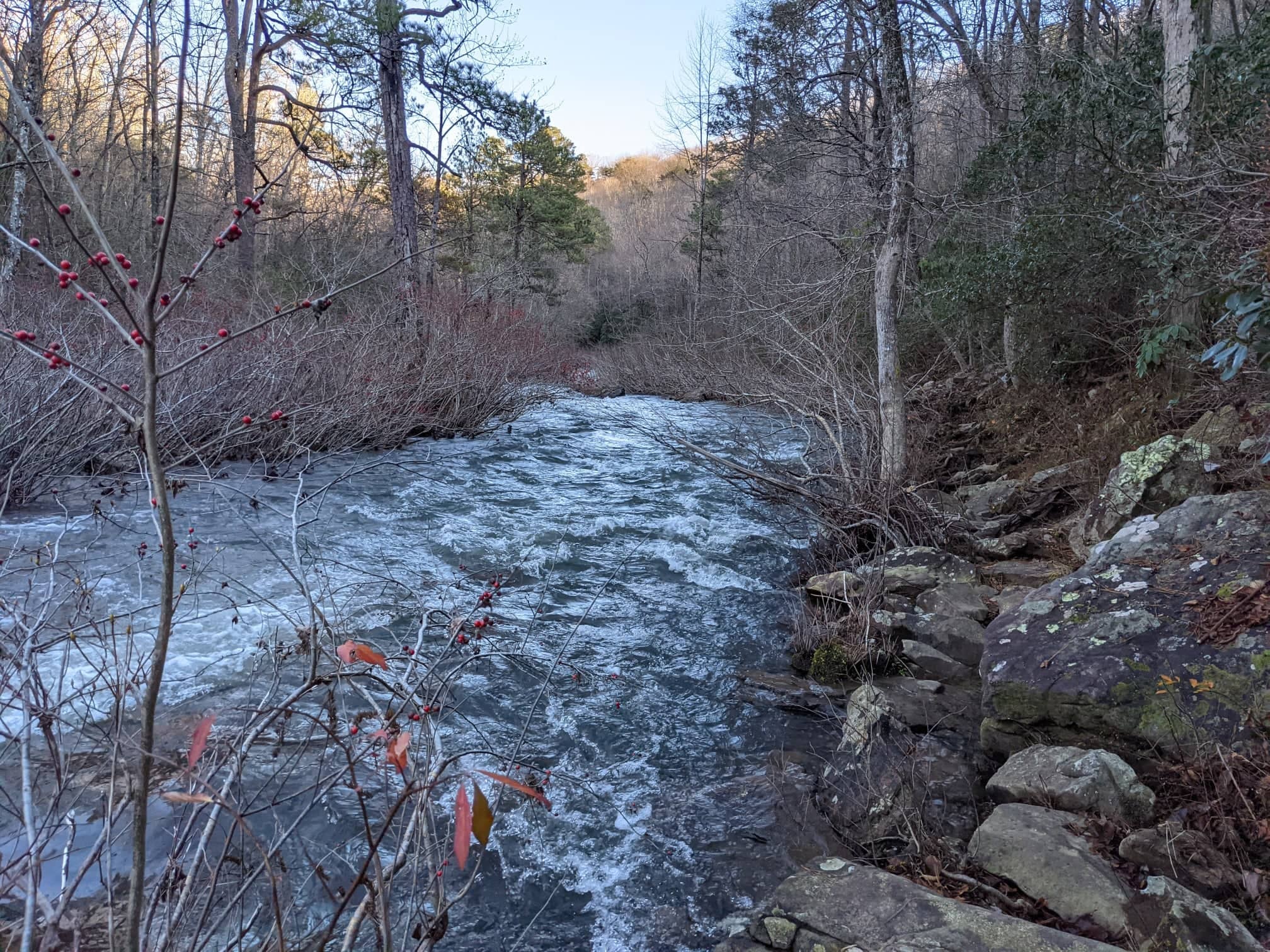 DeSoto Scout Trail-winter