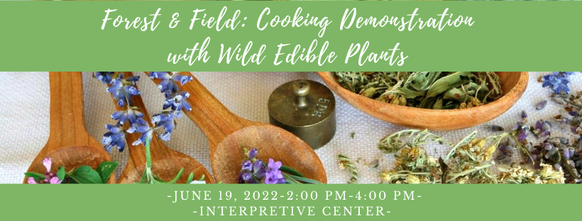 CSP June 2022 Forest & Field: Traditional Herbal Remedies with Wild Edible Plants