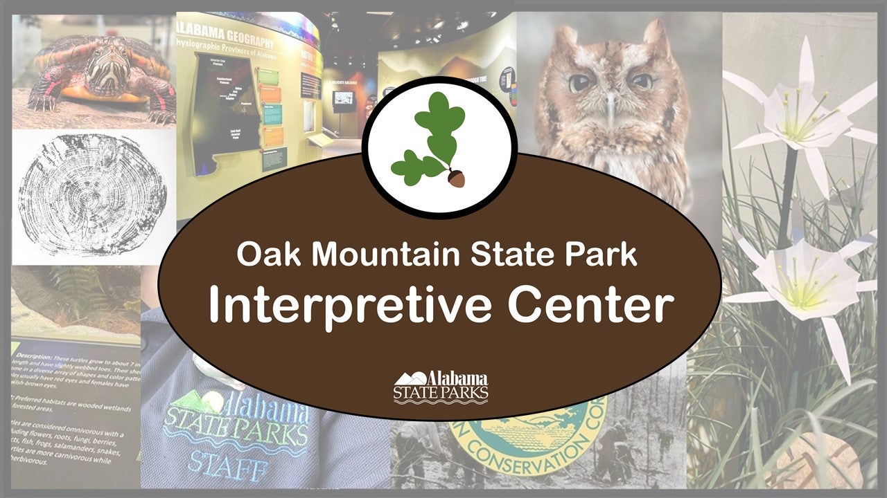 Oak Mountain Interpretive Center | Alapark