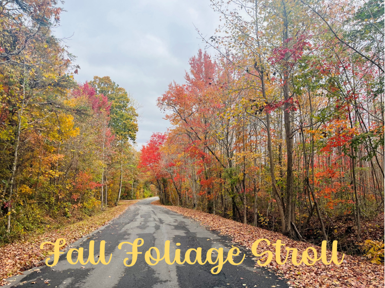 LGSP fall foliage 