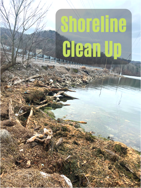 Shoreline Clean Up Day Alapark