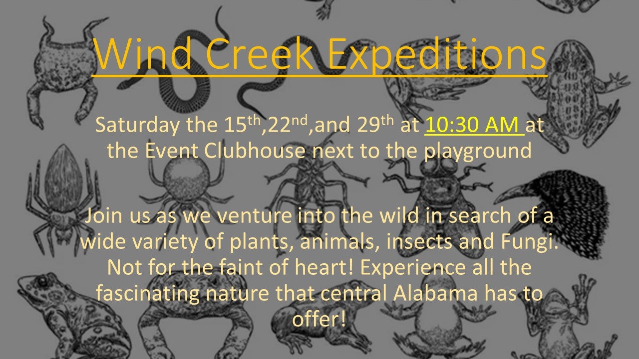 Wind Creek Expeditions