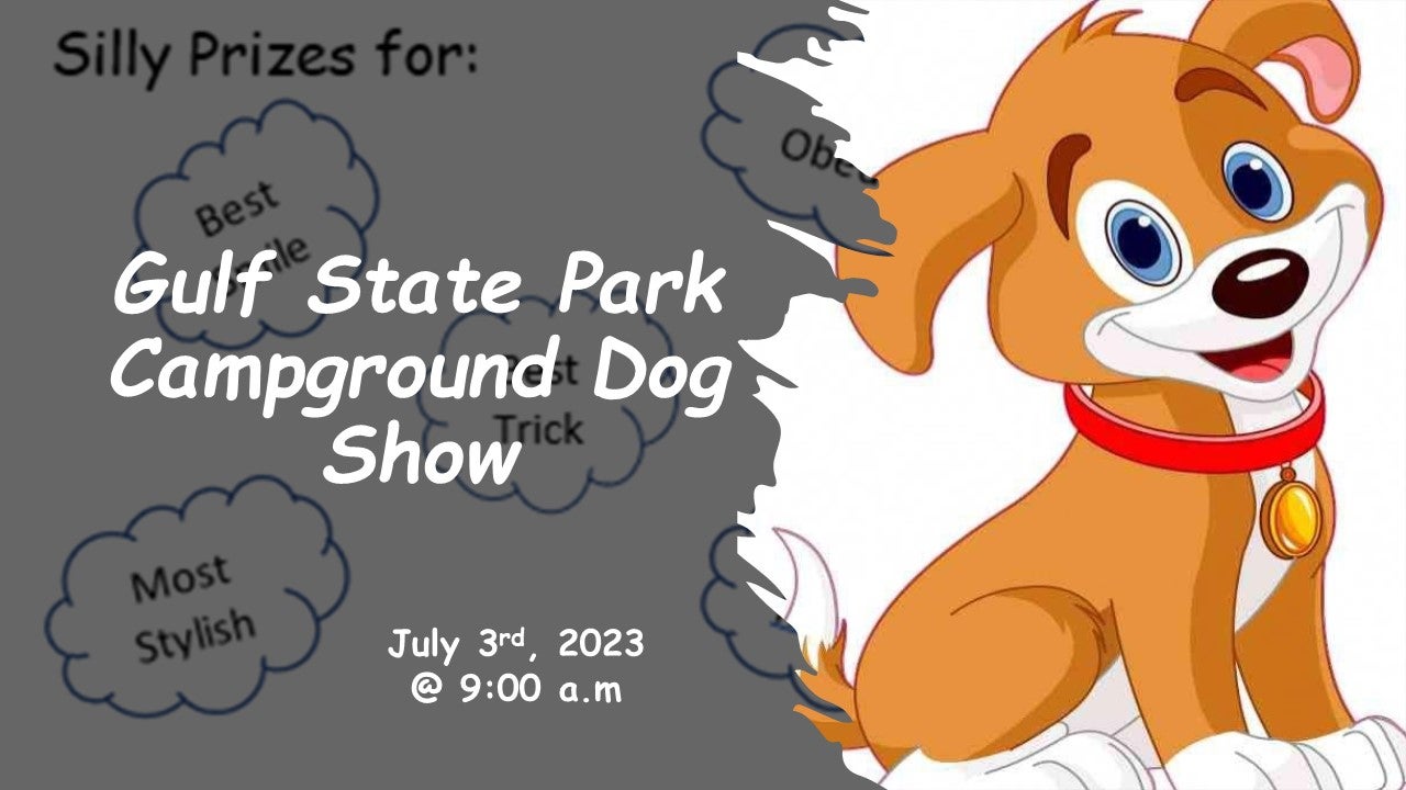 Campground Dog Show