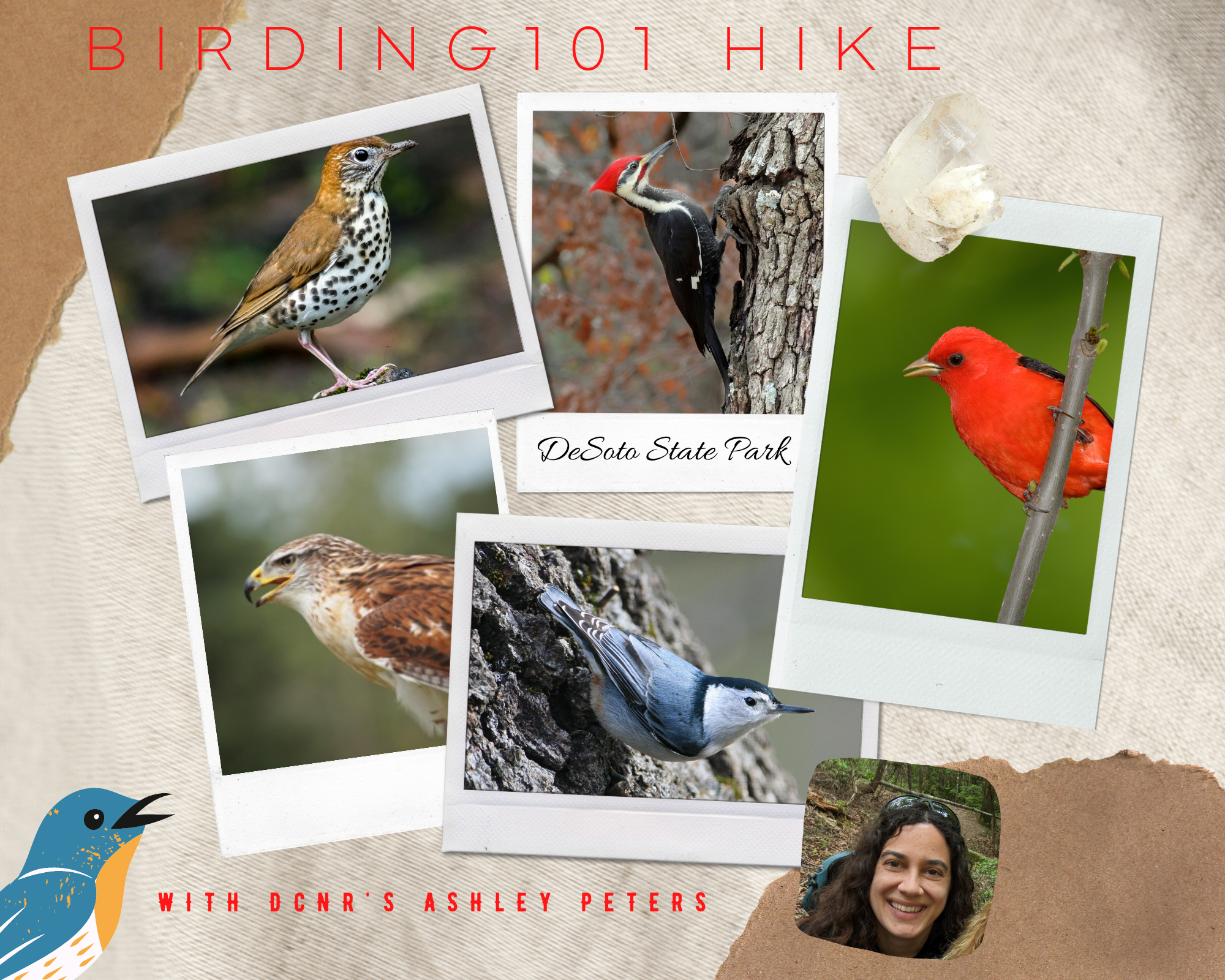 DSP Birding 101 hike