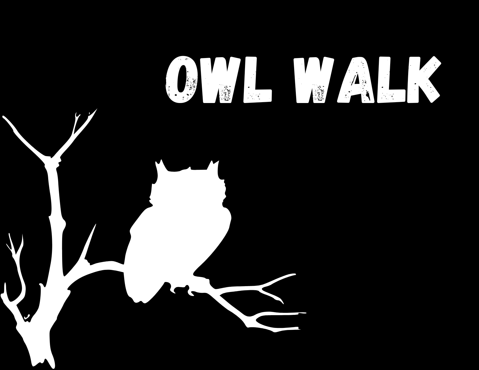 lgsp owl walk