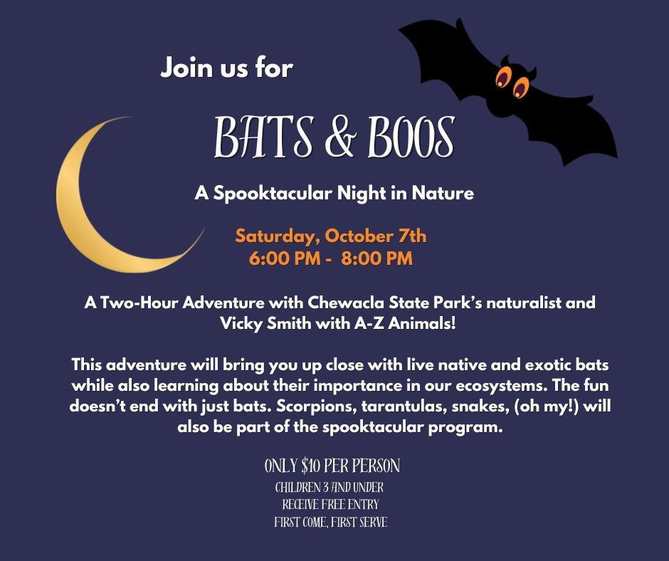 Bats and Boos - A Night in Nature | Alapark