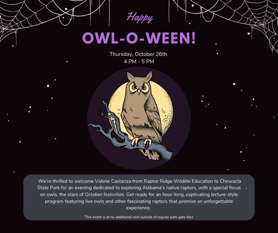 Chewacla State Park Happy Owl-O-Ween