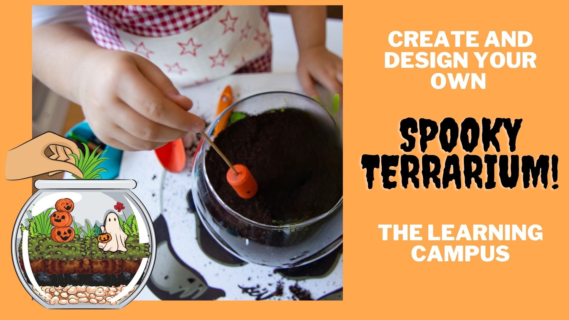 Eco-Art Spooky Terrariums