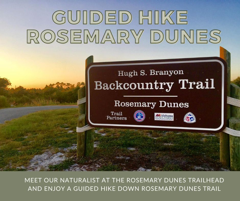 Rosemary Dunes Hike