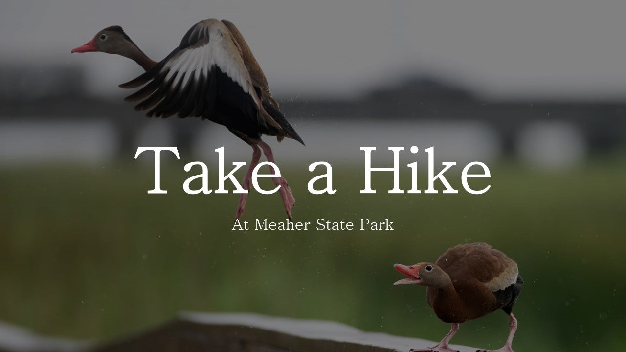 Take a Hike Day MSP