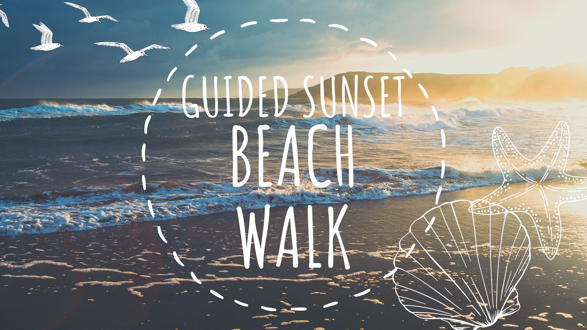 Guided Sunset Beach Walk | Alapark