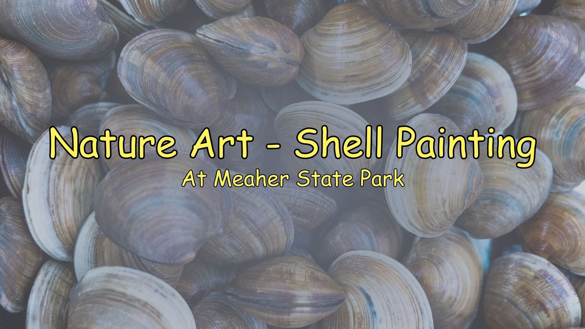 Shell Painting MSP