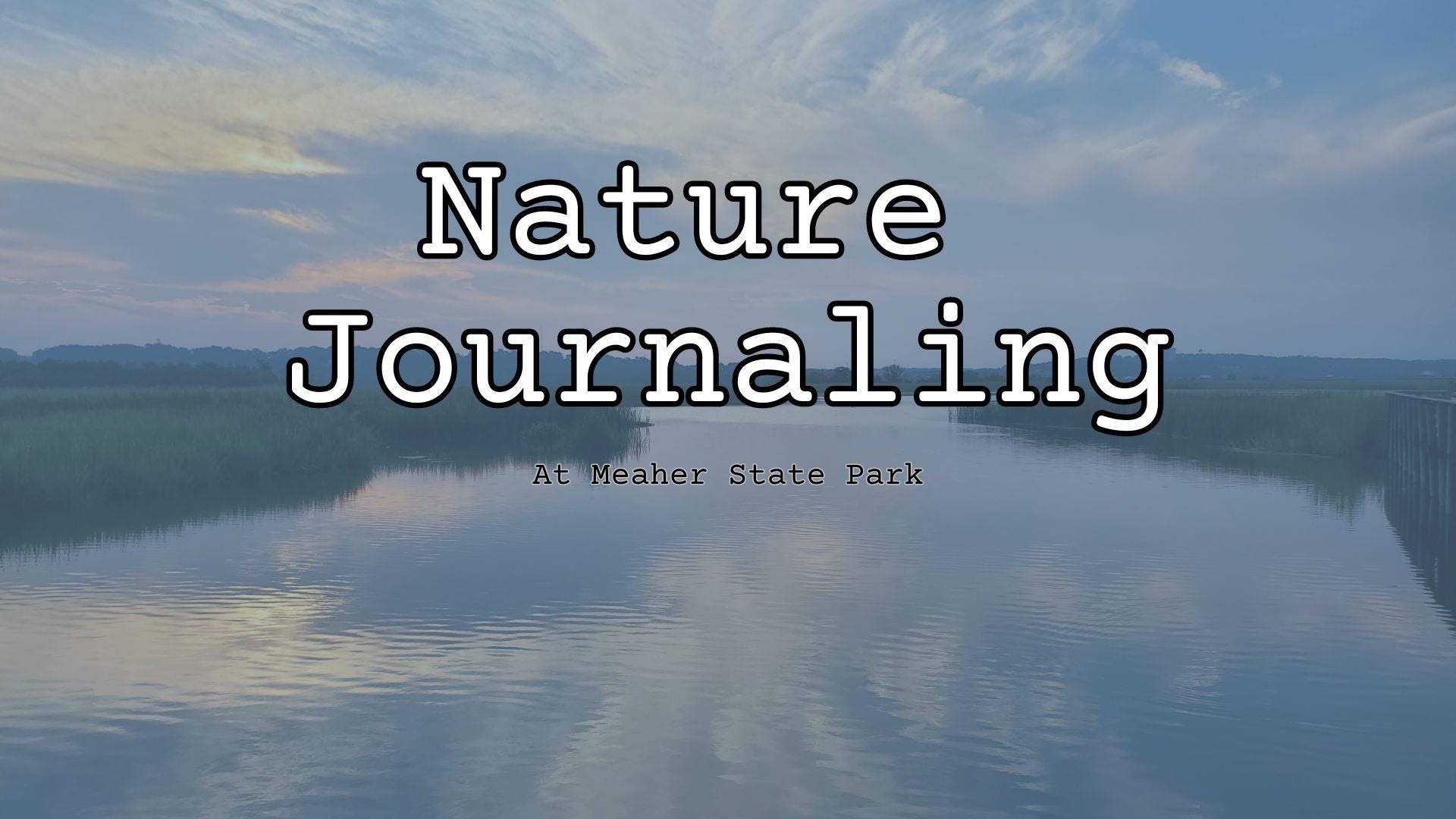Nature Journaling MSP