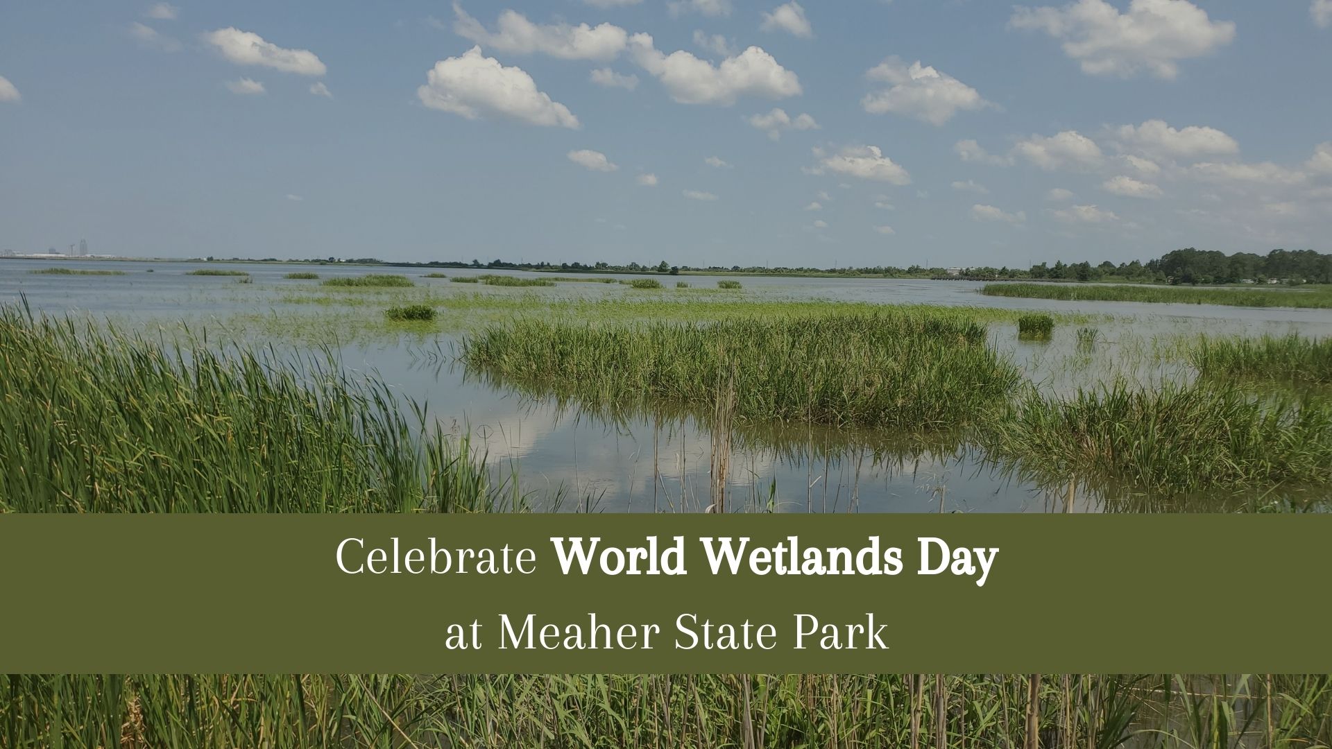 World Wetlands Day MSP