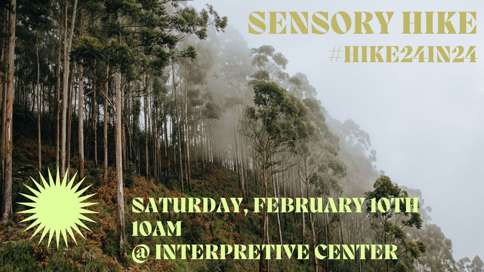 Sensory Hike #Hike24in24AL