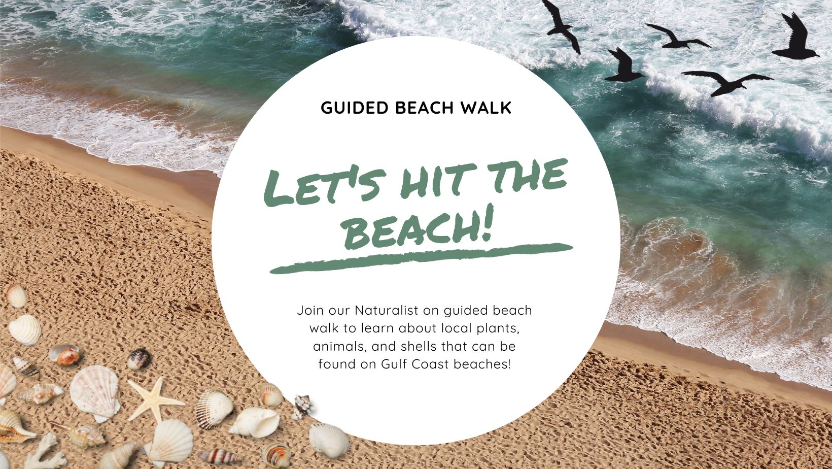 guided beach walk