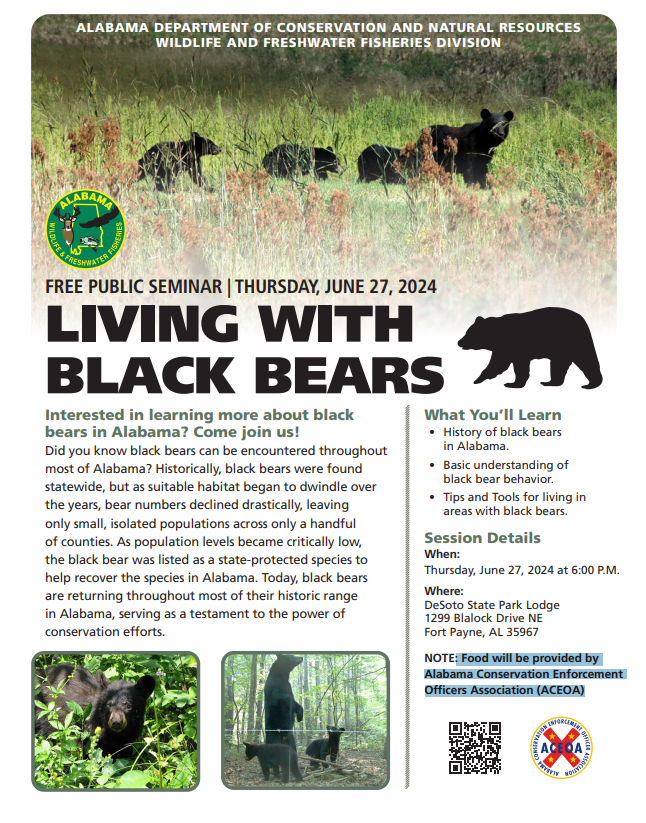 DSP Black Bear program screenshot