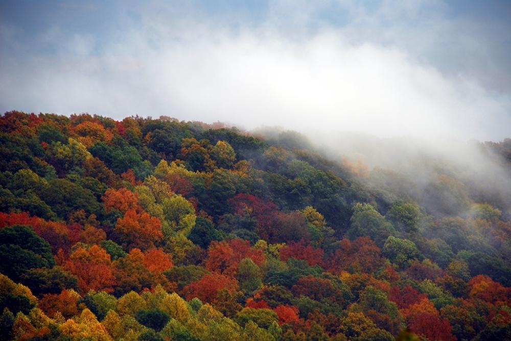 Monte Sano State Park | Alapark