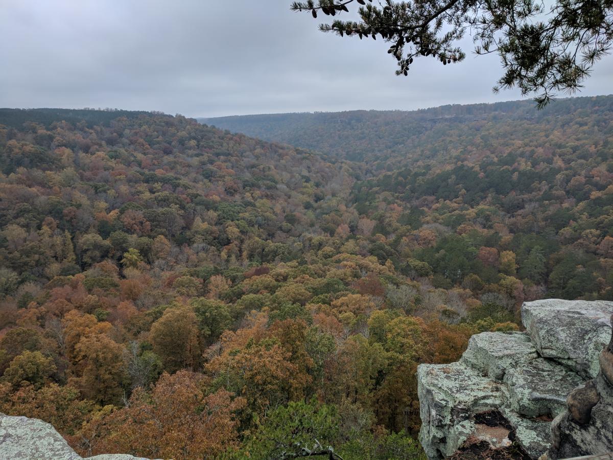 Bucks Pocket State Park | Alapark