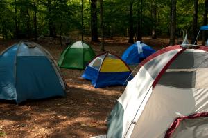 Rickwood Caverns State Park | Alapark