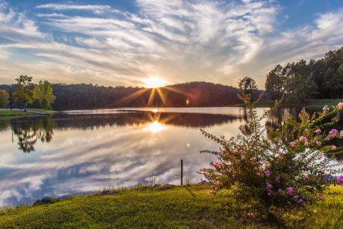 Lake Lurleen State Park Alapark   Lurleeenlakeshine 