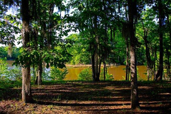 Roland Cooper State Park | Alapark