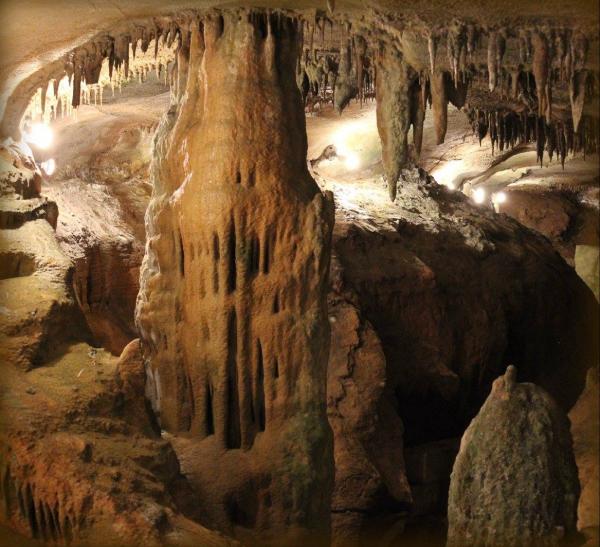 Cave Tours | Alapark