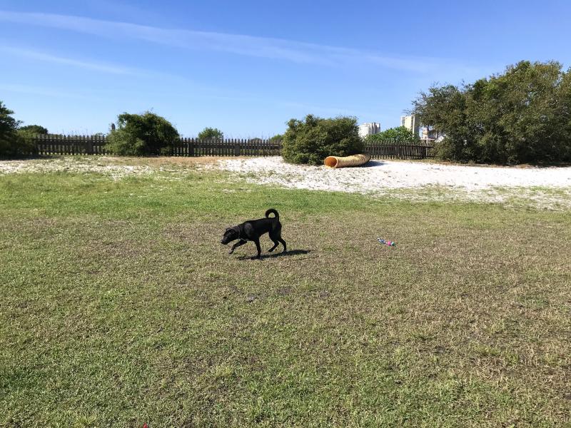 Dog Pond at Lake Shelby | Alapark